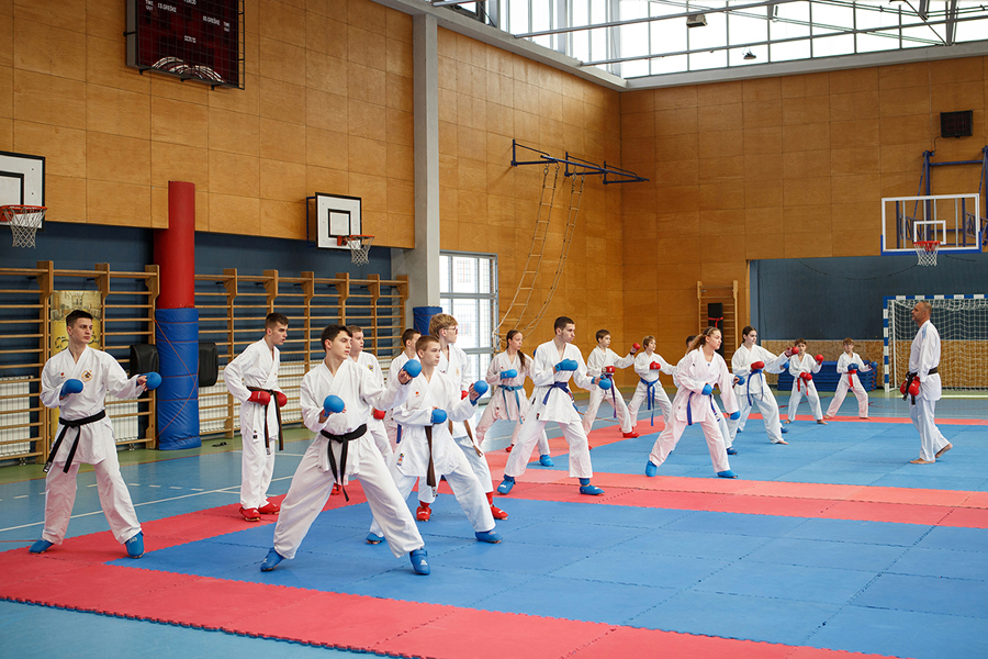 Olimp Karate Summit 2